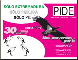 Cartel Elecciones Sindicales 2006